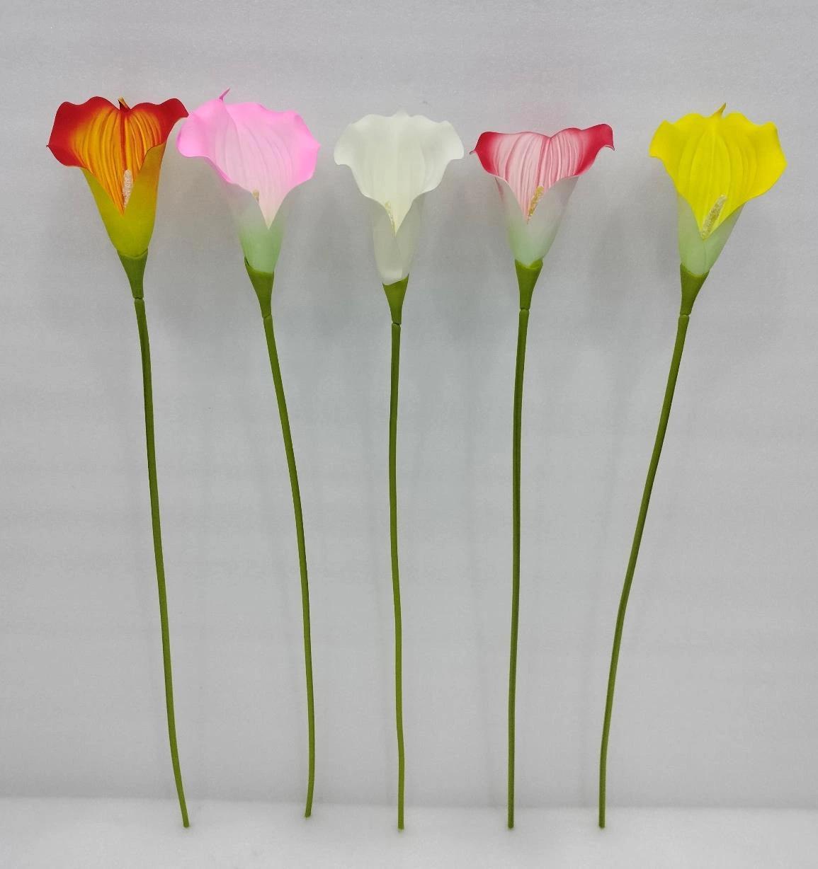 EVA Cala Lilly Big
